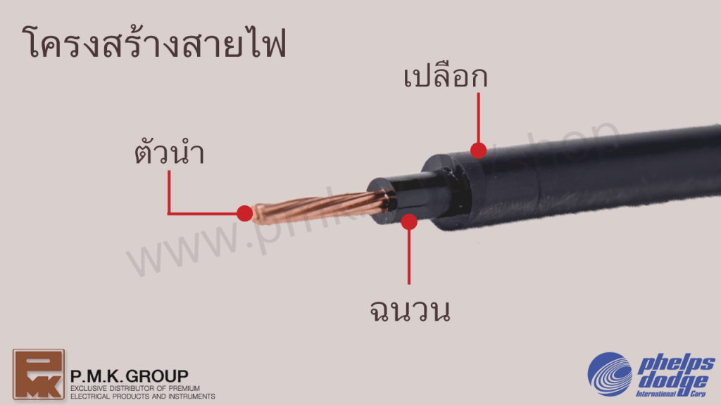 โครงสร้างสายไฟ